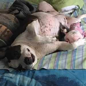 Meet your Posher, Gerald